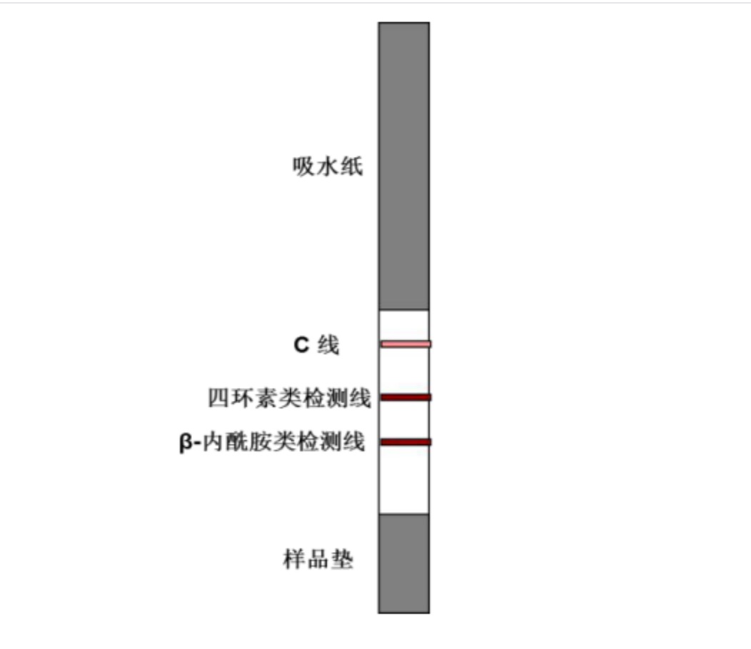 1649237642135470.jpg 四環(huán)素類+β-內(nèi)酰胺類抗生素檢測試紙條.jpg